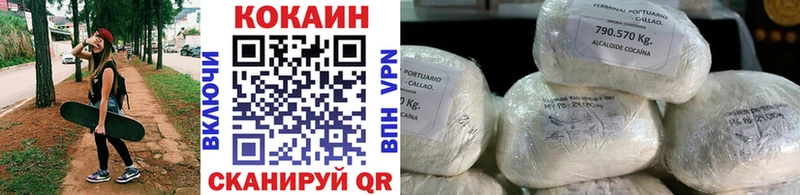 где купить наркоту  Сысерть  КОКАИН FishScale 