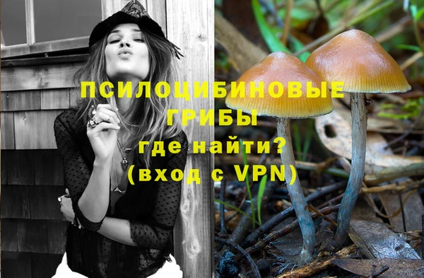ALPHA PVP Армянск