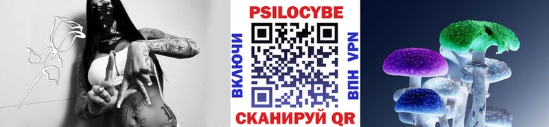 наркота  Сысерть  гидра ССЫЛКА  Псилоцибиновые грибы мухоморы 